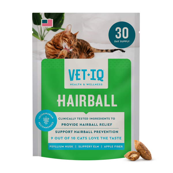 Cat Hairball