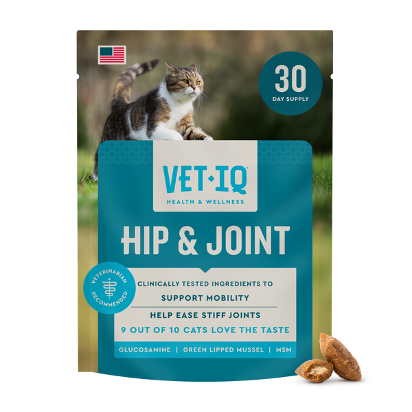 Cat Hip & Joint