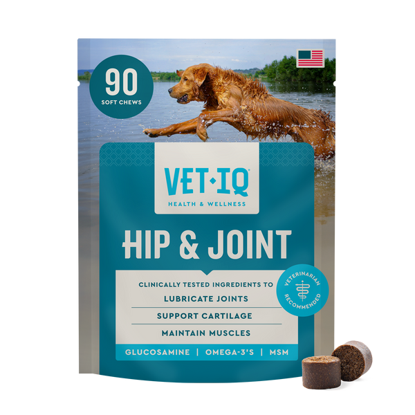Hip & Joint