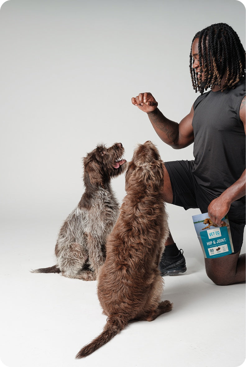 Ashton kneeling with Coco and Deuce holding Vet IQ® Hip & Joint