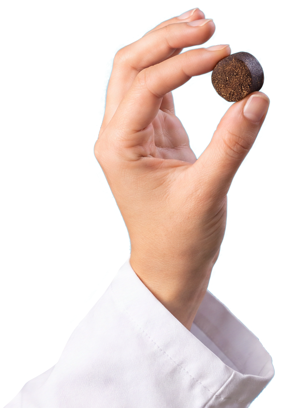 A hand holding a Vet IQ® soft chew